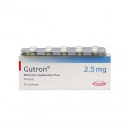 Гутрон таблетки 2,5 мг. №20 в Владивостоке и области фото